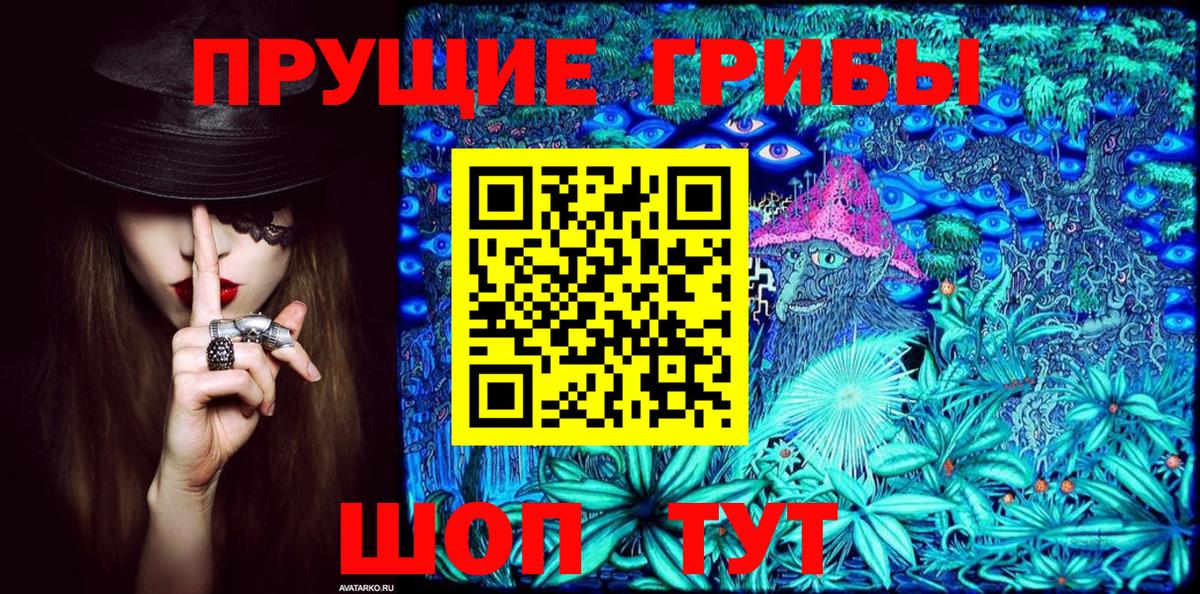 Псилоцибиновые грибы мицелий  Вход с VPN  Междуреченск 