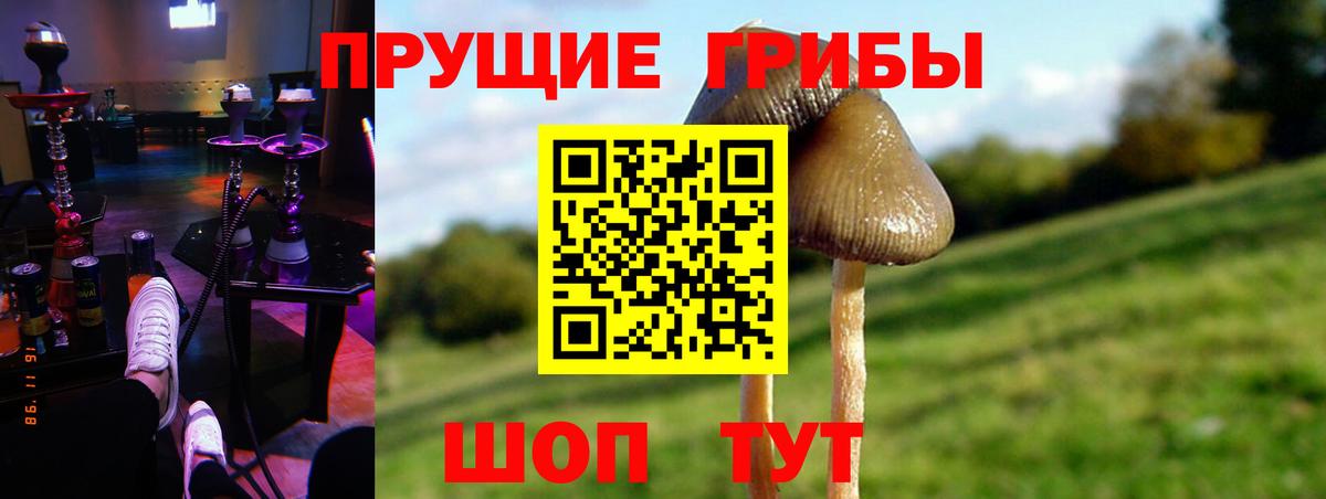 Псилоцибиновые грибы GOLDEN TEACHER Междуреченск
